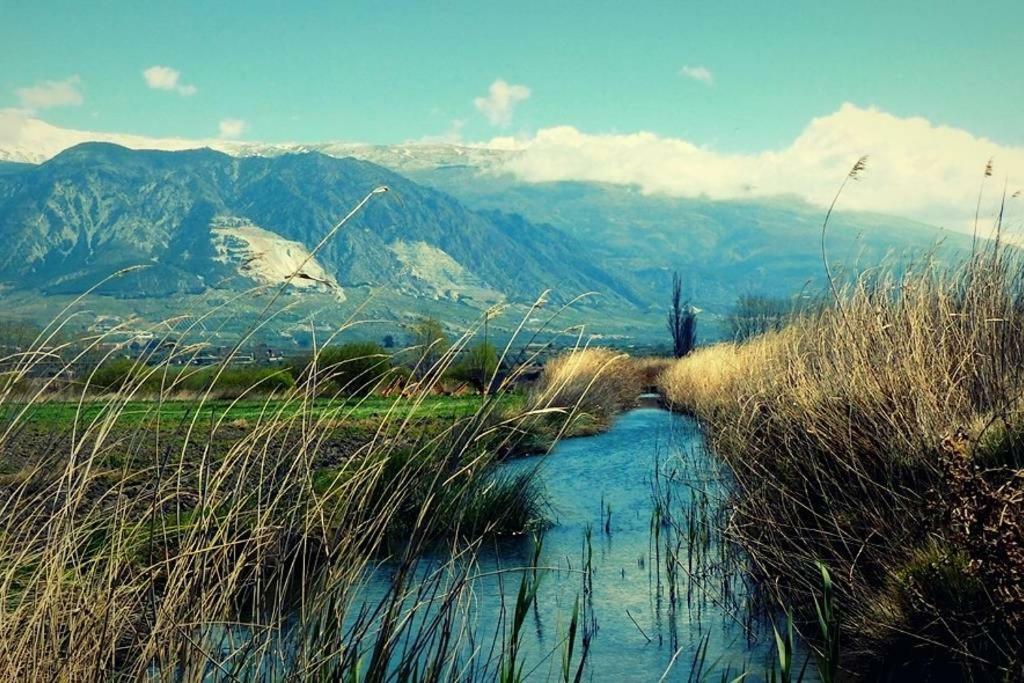 Cortijo De Los Geraneos 파둘 외부 사진